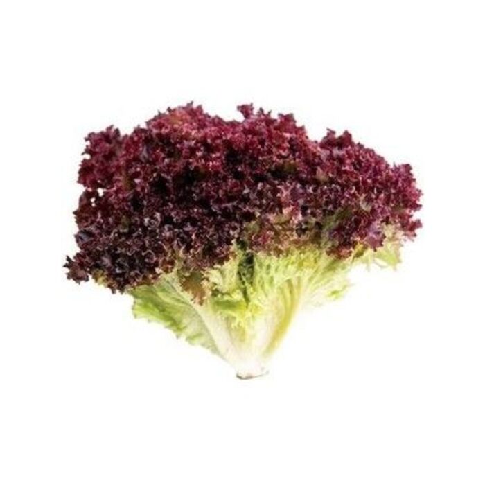 Akdeniz Yeşillik Demet