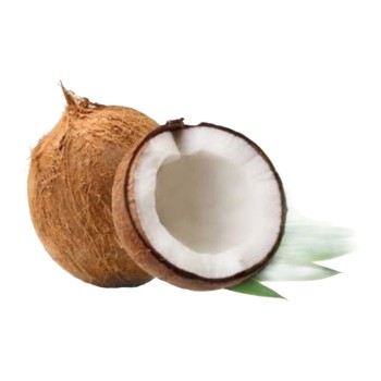 Taze Hindistan Cevizi