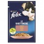 Jöle İçinde Somonlu Yetişkin Kedi Yaş Konserve Maması 85 Gr
