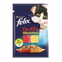 Jöle İçinde Sığır Eti Ve Kümes Hayvanları Karışımı İle Yetişkin Kedi Yaş Konserve Maması 85 Gr