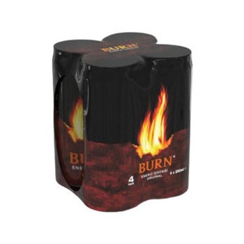 Enerji İçeceği Kutu 4x250 Ml