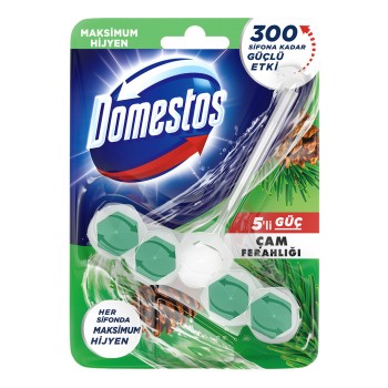 5'li Güç Tuvalet Bloğu Çam Ferahlığı 55 Gr