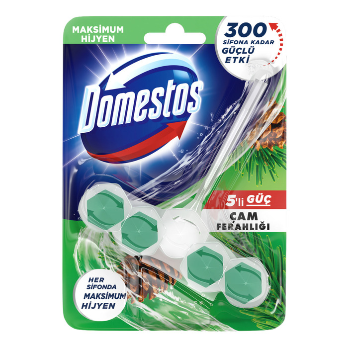 5'li Güç Tuvalet Bloğu Çam Ferahlığı 55 Gr