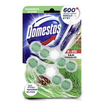 5'li Güç Tuvalet Bloğu Çam Ferahlığı 2x55 Gr