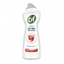Krem Ultra Hijyen Çamaşır Suyu Katkılı 675 Ml