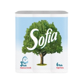 Kağıt Havlu 3 Katlı 6'lı