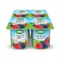 Yoğurt Orman Meyveli 4x115 Gr