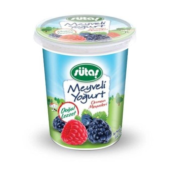 Yoğurt Orman Meyveli 500 Gr