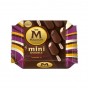 Mini Double Çikolata Karadut & Böğürtlen Karamel 6x360 Ml