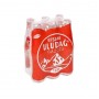 Gazoz Efsane Cam Şişe 6x250 Ml