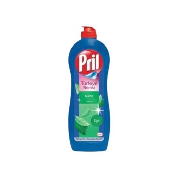 Bulaşık Deterjanı Ege Nanesi 675 Gr