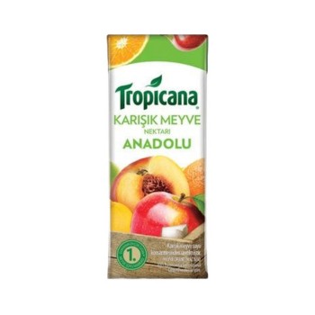 Anadolu Meyvelerinden Meyve Suyu 200 ml