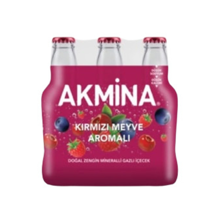 Kırmızı Meyve Aromalı Gazlı İçecek 6x200 Ml