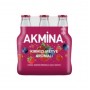 Kırmızı Meyve Aromalı Gazlı İçecek 6x200 Ml