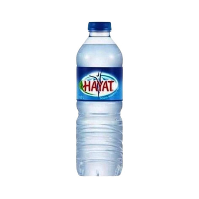 Su Pet Şişe 500 Ml