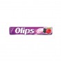 Stick Orman Meyveleri 28 Gr