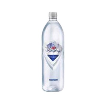 Premium Pet Şişe Su 2 Lt